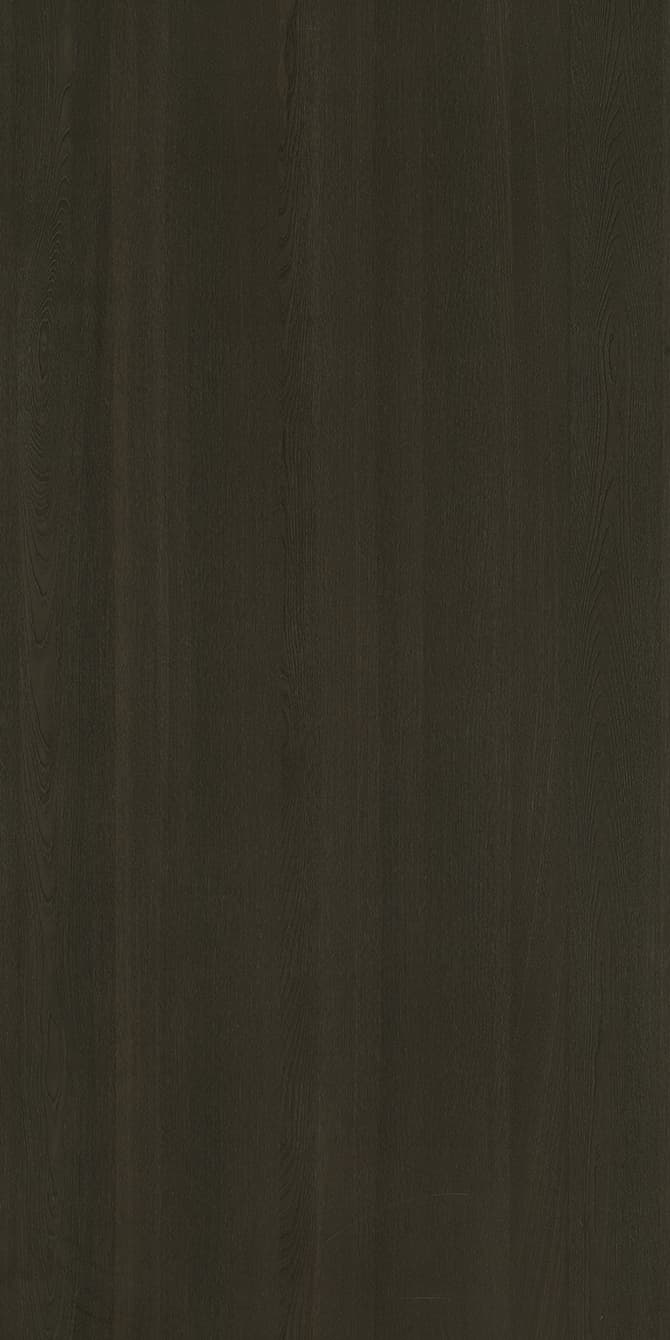Elm-M.M.