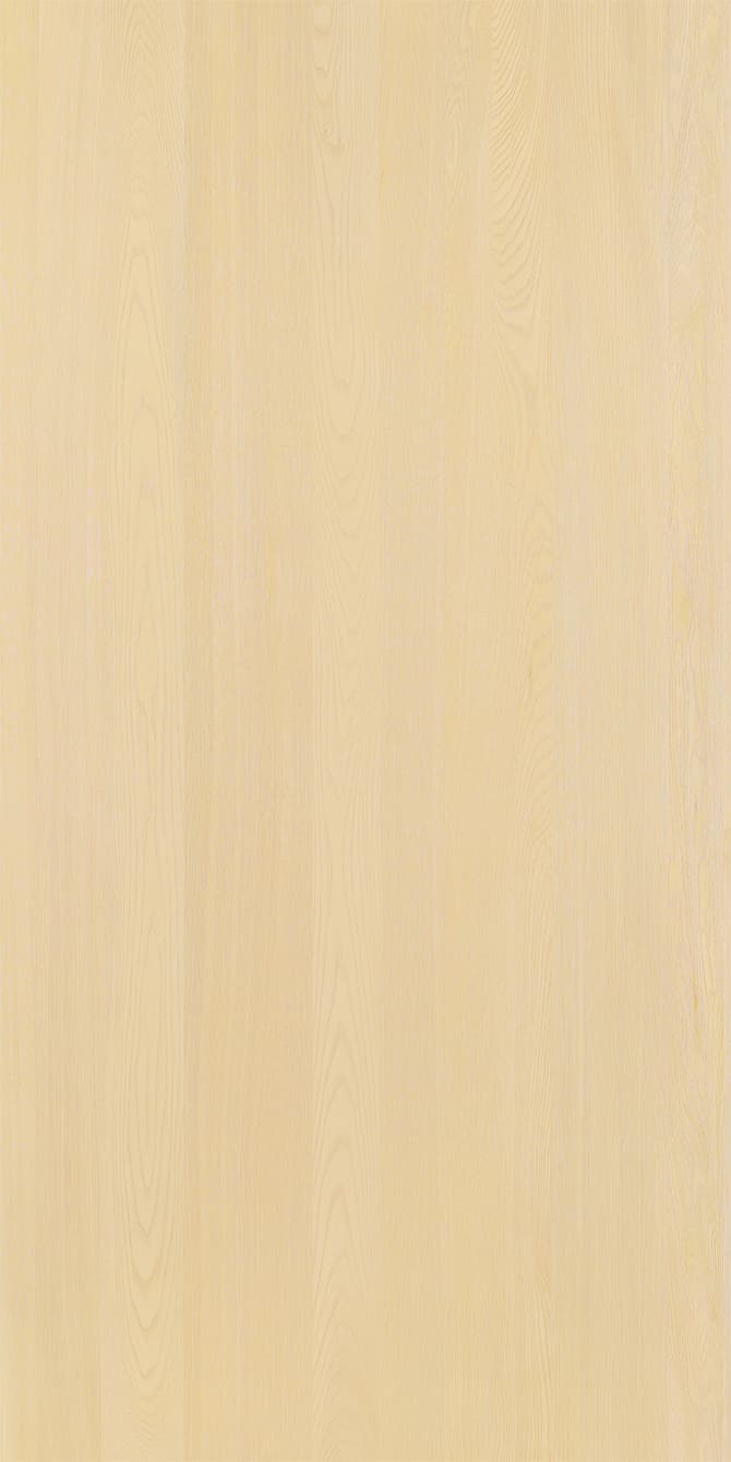 Elm-M.M.