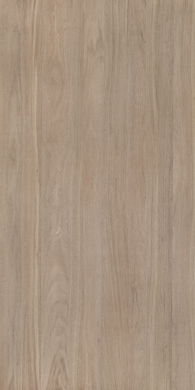 Walnut-M.M.