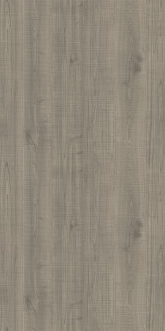 Elm - Knotty R.C.
