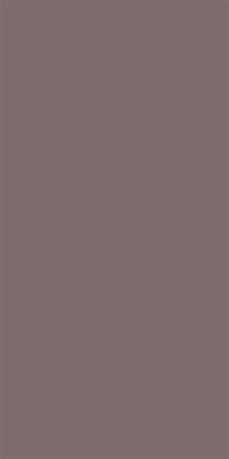 Silky Matte Taupe