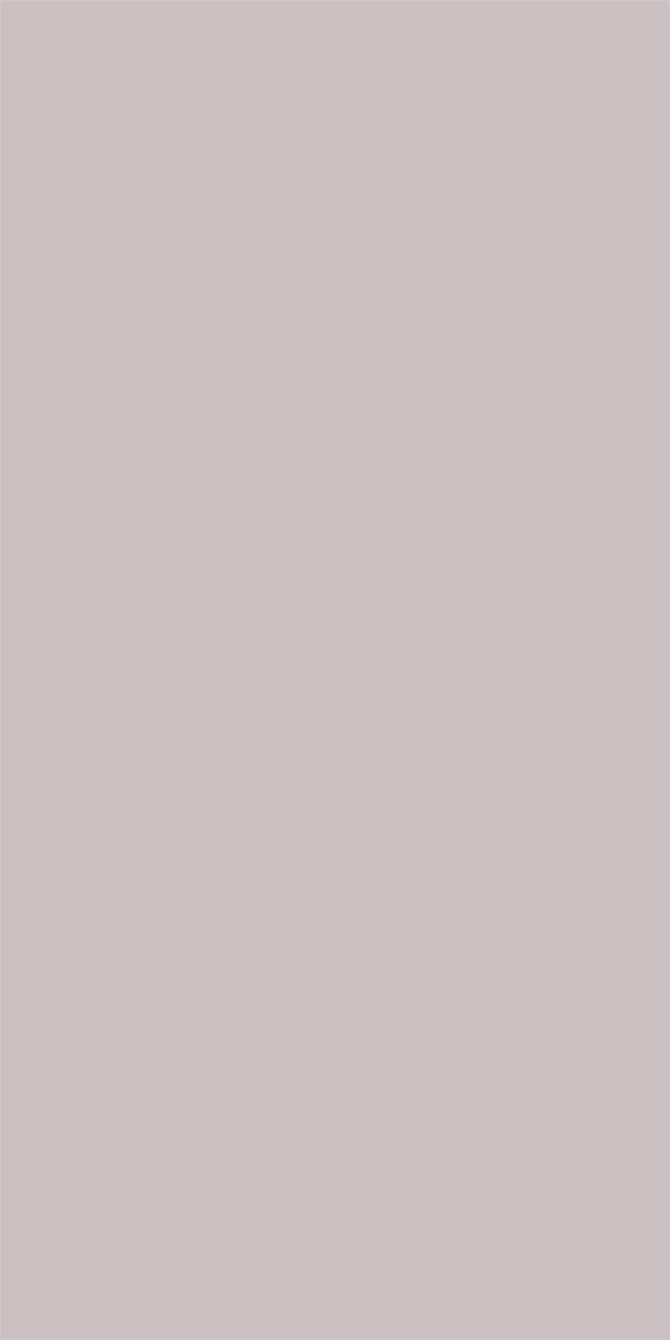 Silky Matte Titanium Silver